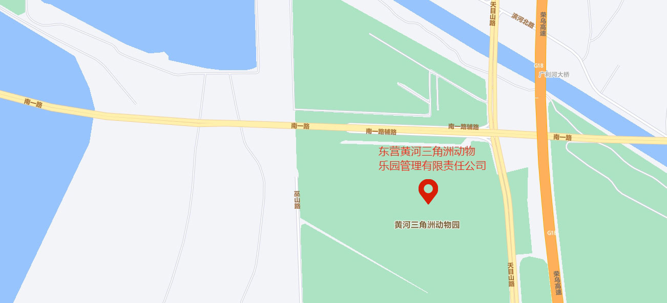 4東營黃河三角洲動物樂園管理有限責(zé)任公司.jpg
