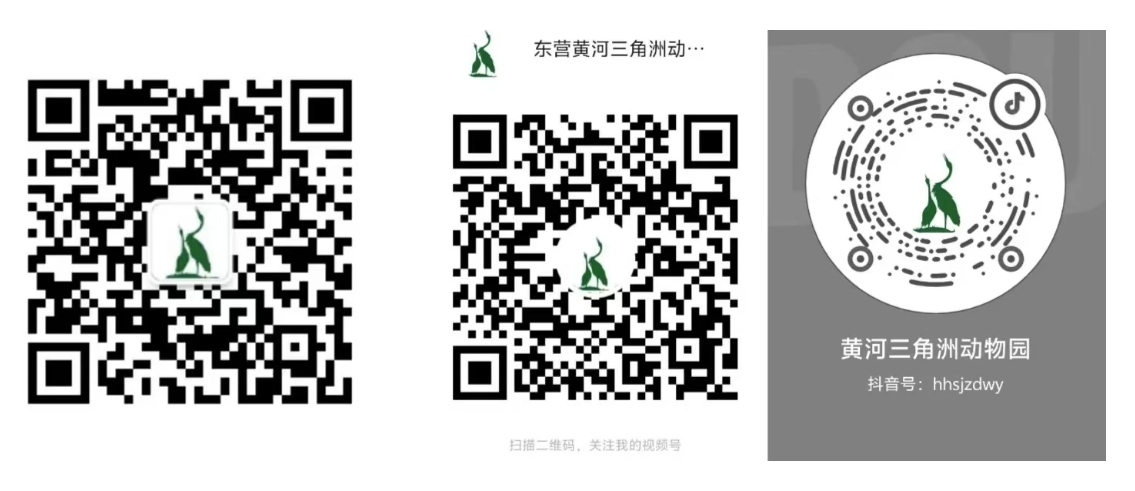 微信截圖_20241224144154.png