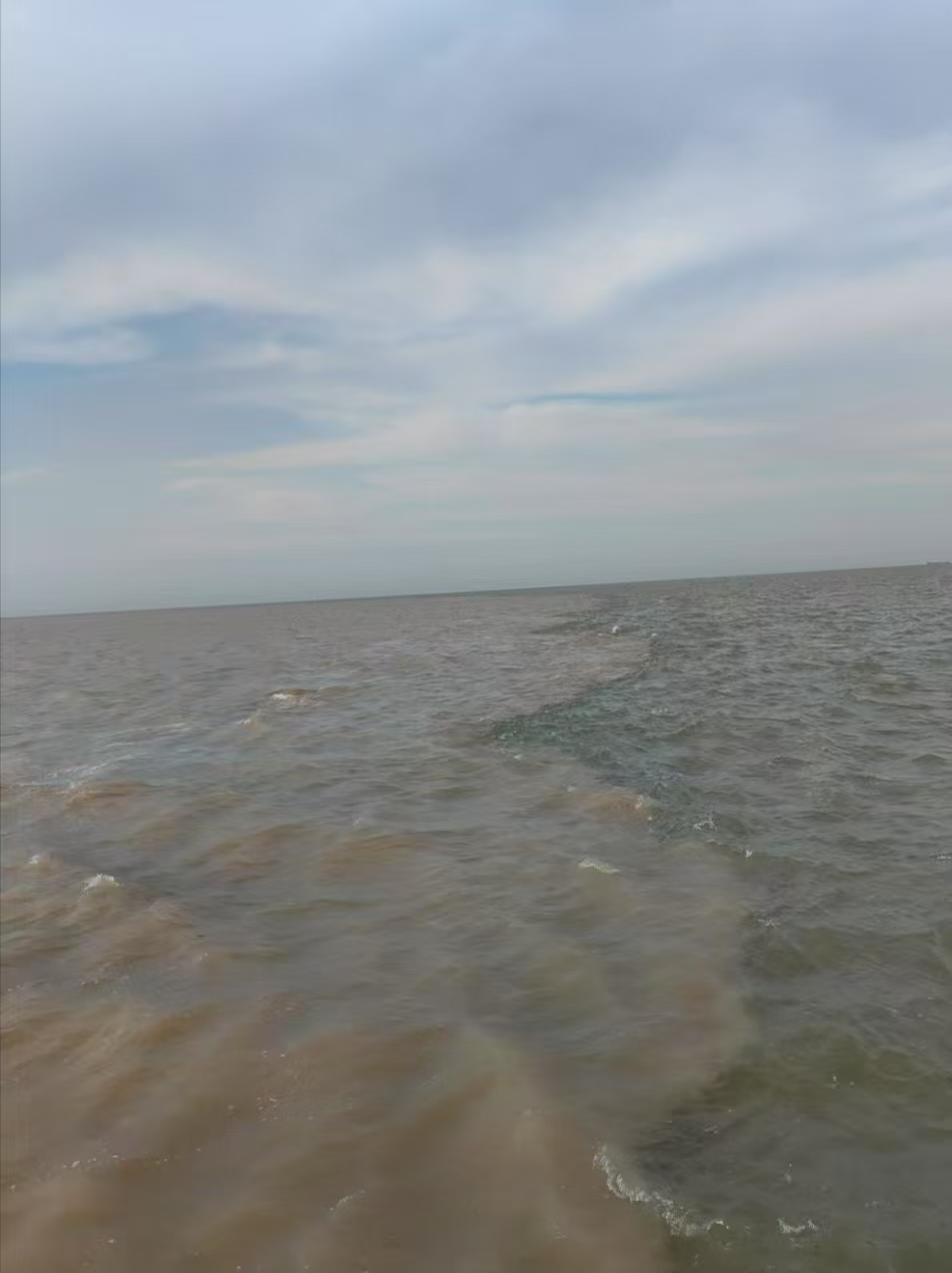 mmexport1746229104768.jpg