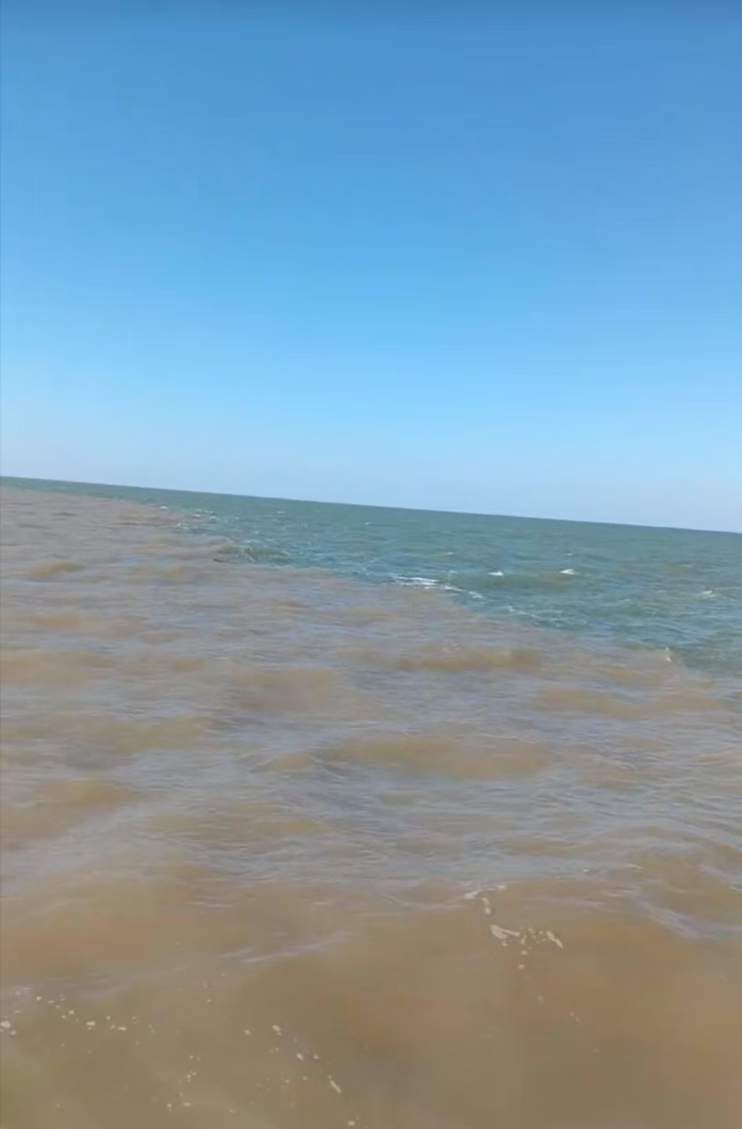 mmexport1746313812794.jpg